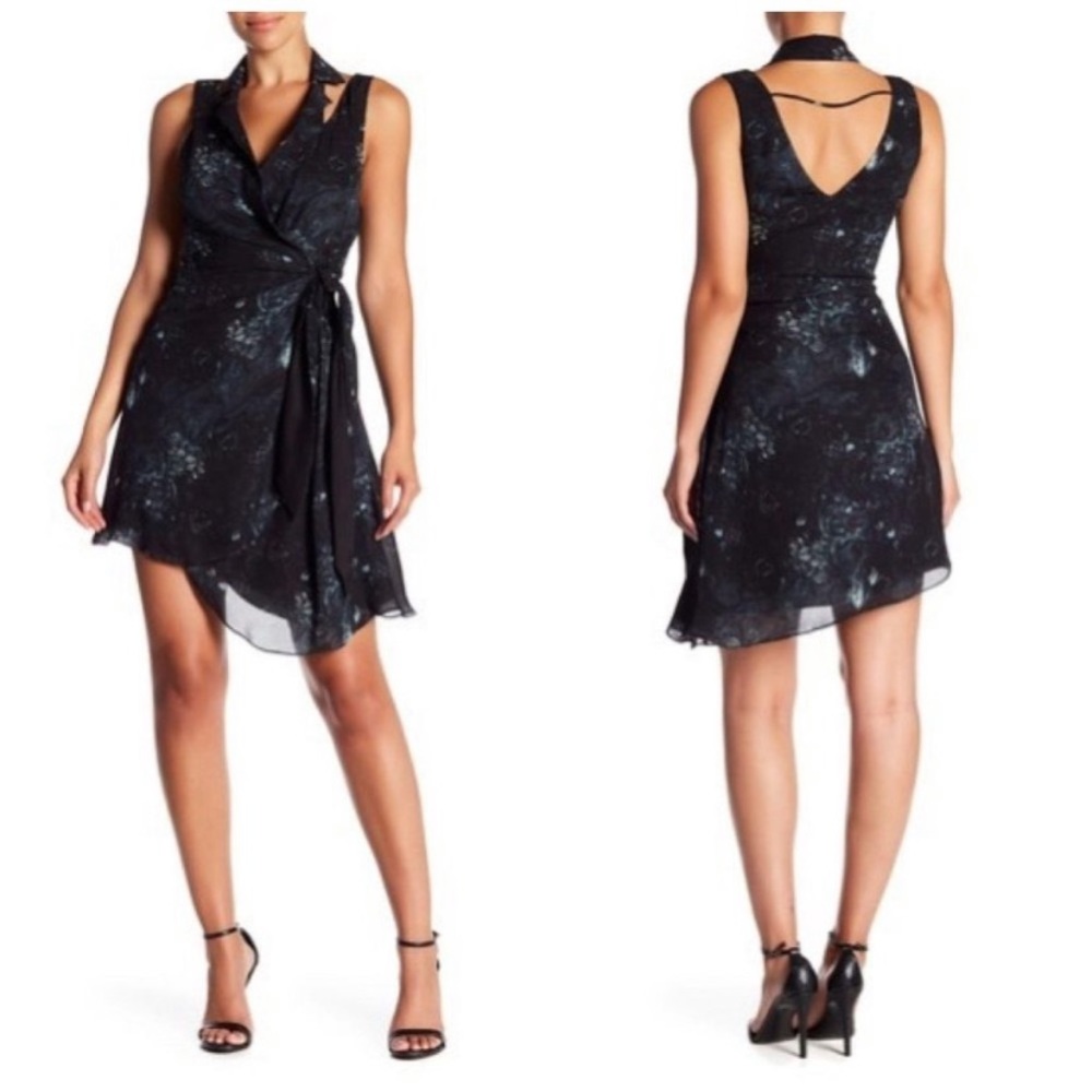Silk Haute Hippie dress worn once